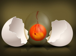 Ilustratīvs attēls no pixabay.com