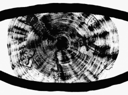 Ilustrācija — Anna Zvaigzne