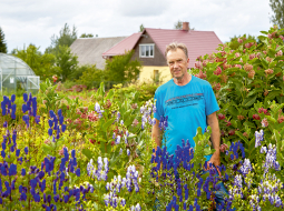 Jāņa Ulmja dārzā aug vairāk nekā 300 dažādu veselības augu. Pie katra ir plāksnīte ar nosaukumu un cipariņi, kas apzīmē attiecīgā auga izmantošanu konkrētā fitoprodukta formulā. Jo vairāk ciparu, jo plašāks pielietojuma spektrs.
Foto — Madara Gritāne