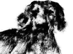 Ilustrācija — Patrīcija Māra Vilsone