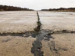 Daugavpils pašvaldība vēlas saņemt 100 miljonus savas lidostas izveidei pamestajā Lociku lidlaukā, kur savulaik saimniekoja padomju armija.
Foto — Indra Sprance