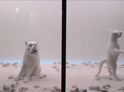 Woof, woof!