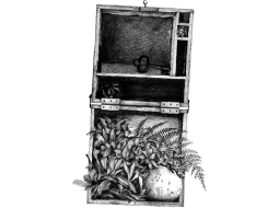 Ilustrācija — Ivita Brūdere
