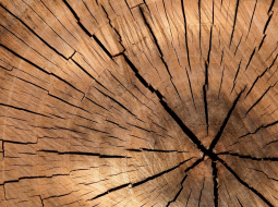 Ilustratīvs attēls no pixabay.com