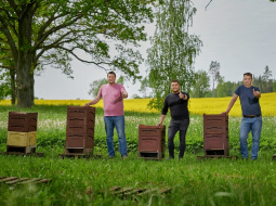 Pie rapšu lauka netālu no Kaives. No kreisās - bitenieks Māris Kreicbergs, lauksaimnieki Linards Selivanovičs un Agris Jurģis-Jurģītis. Foto: Edmunds Brencis