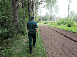 Latvijas un Baltkrievijas robežas kontroljosla Silenē.
Foto — LETA