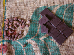 Bean-to-Bar jeb amatšokolādes ražotājs pārzina ikvienu tās tapšanas posmu, sākot no pupiņu audzēšanas līdz gatavajai tāfelītei.
Foto — Pixabay.com