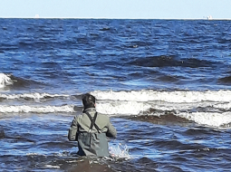 Ruslans Lucenko brien pēc ūdens parauga Vakarbuļļu pludmalē. Foto — Veselības inspekcija