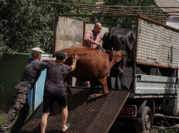 Donbasa reģiona iedzīvotāji evakuējas prom no frontes līnijas.
Foto — Scanpix