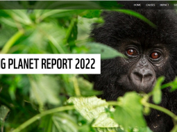 Ekrāna attēls no WWF vietnes livingplanet.panda.org