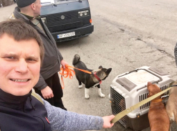 Vlads Samoiļenko Irpiņas iedzīvotāju un viņu mājdzīvnieku evakuēšanas laikā pērn februāra beigās.
Foto no personīgā arhīva