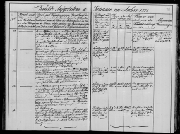 Kuldīgas vācu draudzes baznīcas grāmatas 26. ieraksts vēsta par Gothilfa Ludviga Jākoba Tišheizera (Gotthelf Ludvig Jakob Tischhäuser) kāzām ar Līzi Štefenhāgenu (Lihse Steffenhagen).
Ilustrācija — Raduraksti.lv