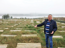Andrijs Širenkovs gliemežu audzēšanas laukā