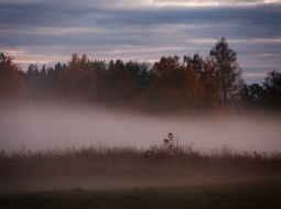 Migla virs pļavas. Foto - Edijs Pālens, LETA