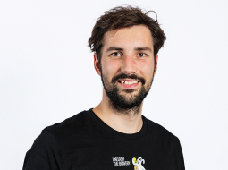 Rihards Ginters, Wit Consulting stratēģis
