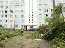 Stiprā lietus un vētras postījumi Lauku ielā Kauguros, Jūrmalā šovasar. Foto - Lita Millere, LETA