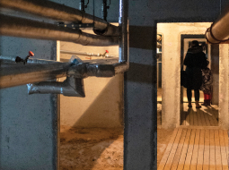 Rīgā, Dzilnas ielā, — dzīvojamās mājas pagrabs, kas izvēlēts kā iespējama patvēruma vieta, ir diezgan primitīvs