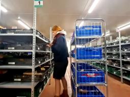Attēls no ARTE video