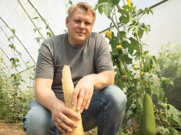 SIA Daudziņi īpašnieks, bioloģiskais saimnieks Kaspars Otikovs tūristiem piedāvā gan degustēt, gan iegādāties eksotiskas, Latvijai neierastas kultūras. Piemēram, švammes gurķi. Ar tā poraino viduci patiešām iespējams mazgāties! Foto — Anete Podvinska