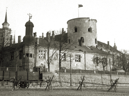 1919. gada 8. jūlijs. Pulcēšanās Daugavmalā pie Rīgas pils, lai sagaidītu Latvijas Pagaidu valdību atgriežamies no Liepājas. Foto — Vilis Rīdzenieks. Rīgas vēstures un kuģniecības muzeja krājums