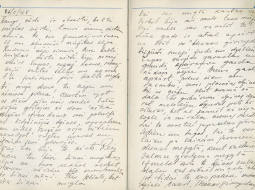 Jūlija Celmiņa pagājušā gadsimta 40.—50. gados rakstītās dienasgrāmatas lappuses