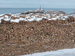 Kadrs no filmas Visi putni skaisti dzied. Publicitātes foto