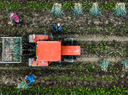 Ekrānkopija no ARTE video.