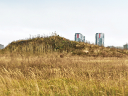 Skanstes parka veidošanā noraktā grunts sagāzta lielā kaudzē. Tajā ir pamatīgs naftas un smago metālu piesārņojums, turklāt tā trīs gadus bez saskaņojuma nogulējusi uz kaimiņos esošas privātas zemes.