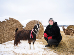 Lai piedalītos kazu skaistumkonkursā, Ieva Kazkopības biedrībai nosūtīja vairākas fotogrāfijas ar savām kaziņām. Cilvēku interese balsot par kazām bijusi pārsteidzoši liela, atklāj saimniece.