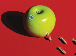 Ilustrācija — Krišs Salmanis