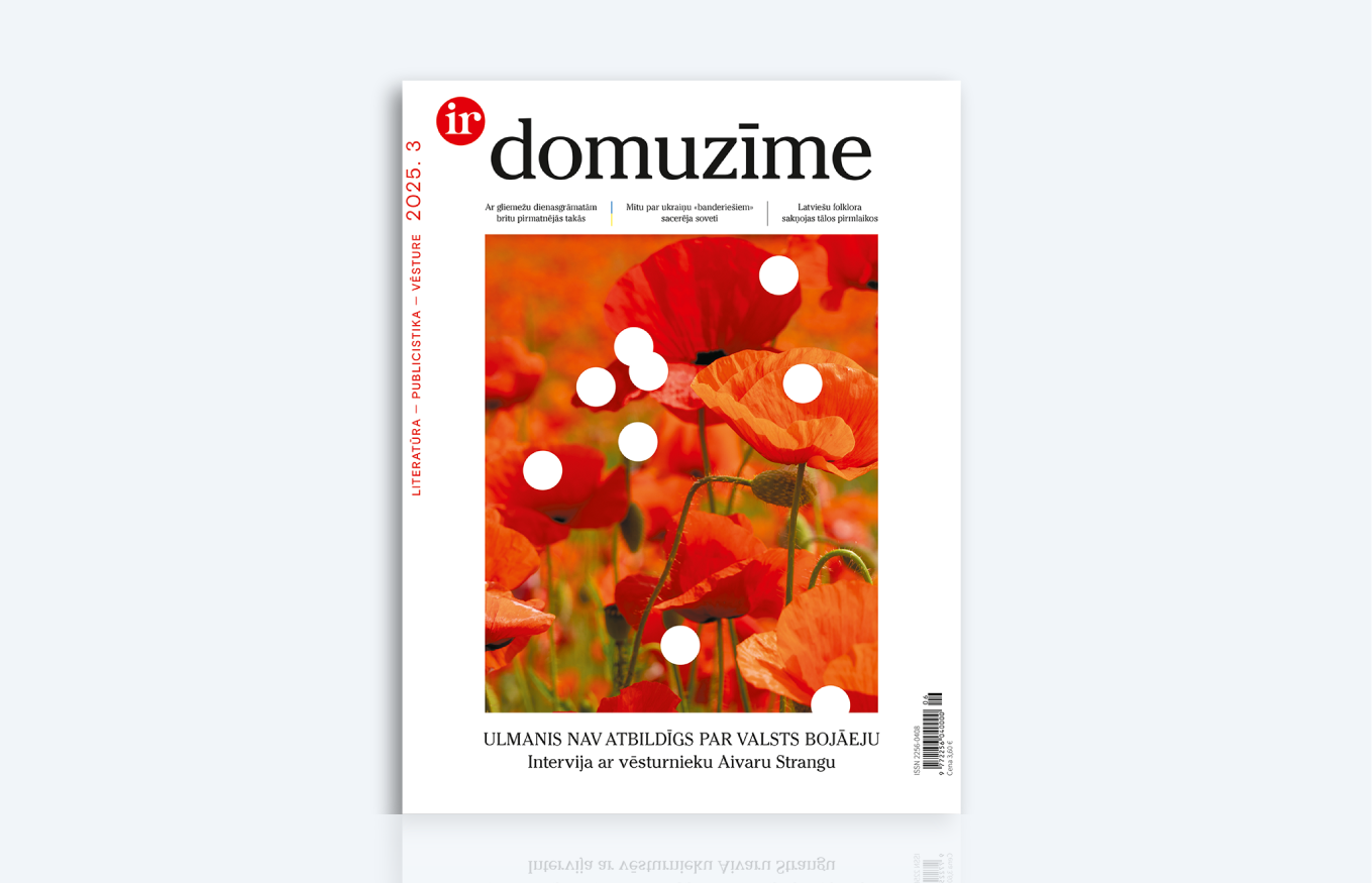 DOMUZĪME