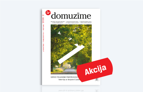 DOMUZĪME
