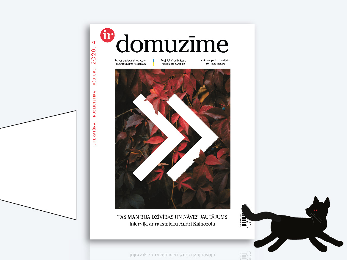 DOMUZĪME